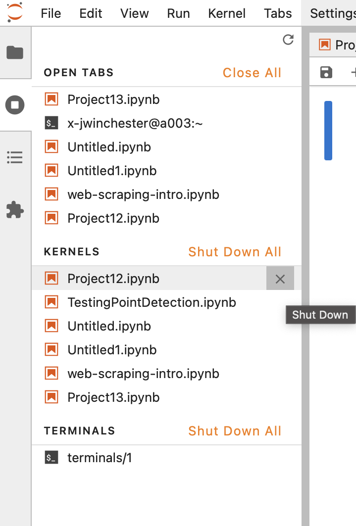 shut down kernel